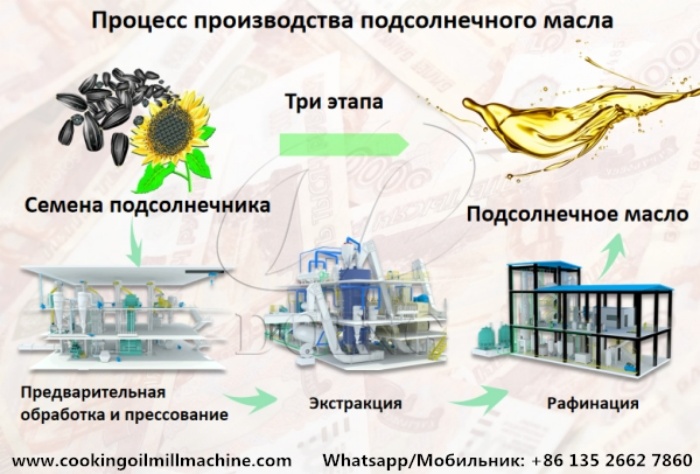 Процесс производства подсолнечного масла холодного отжима.jpg
