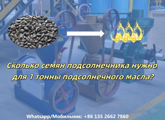 Сколько семян подсолнечника нужно для 1 тонны подсолнечного масла?