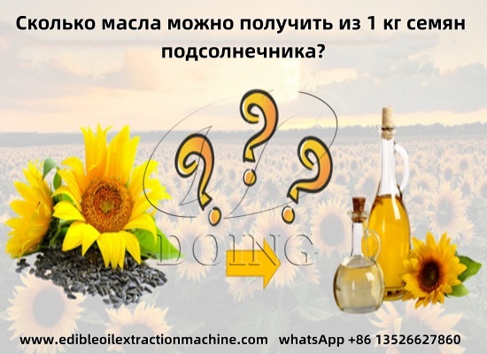 Сколько масла можно получить из 1 кг семян подсолнечника?