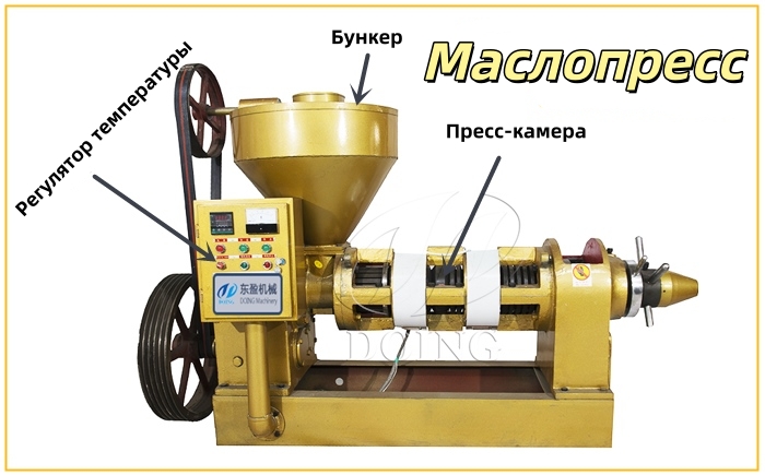 Маслопресс с автоматическим контролем температуры
