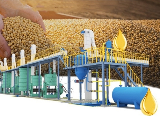 Полное руководство по открытию бизнеса по производству соевого масла в Нигерии