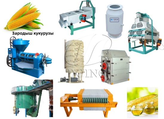 Как получить пищевое масло из кукурузы?