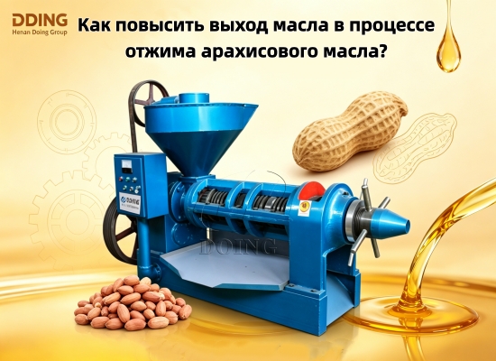 Как повысить выход масла в процессе отжима арахисового масла?