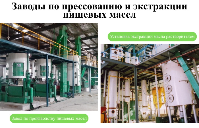 Секция экстракции масла