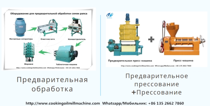 оборудование для производства рапсового масла