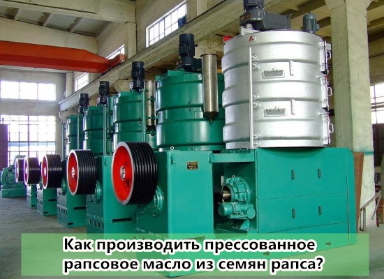 Как производить прессованное рапсовое масло из семян рапса? Каков процесс производства прессованного рапсового масла?