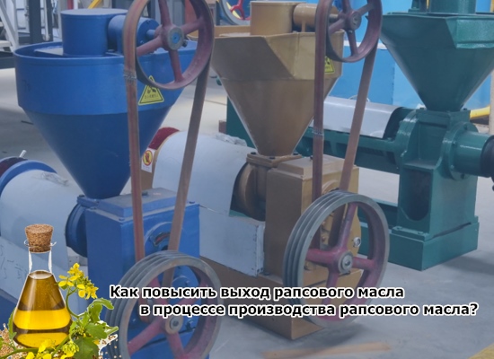 Как повысить выход рапсового масла в процессе производства рапсового масла?