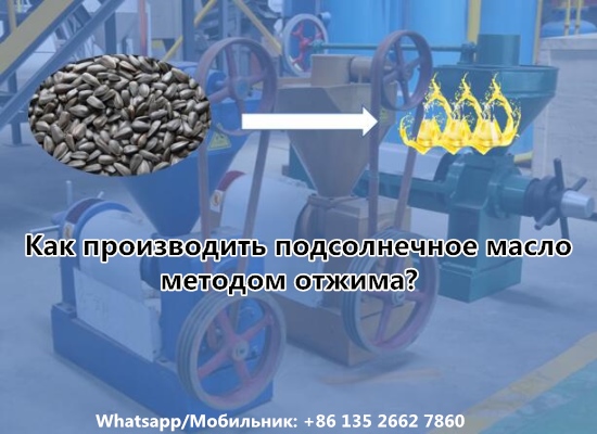 Как производить подсолнечное масло методом отжима? Какой процесс отжима?