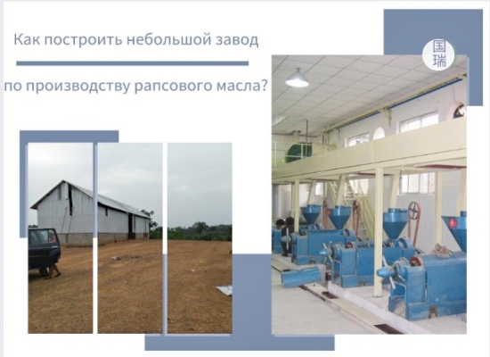 Как построить небольшой завод по производству рапсового масла?