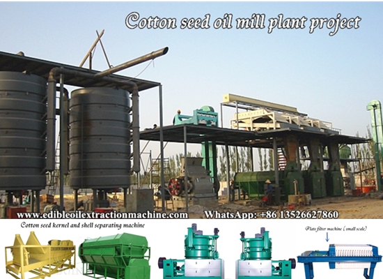 Как начать бизнес по переработке растительного масла?