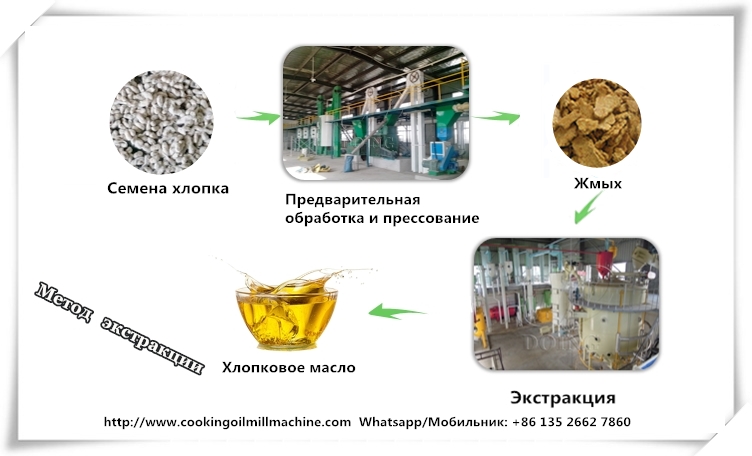 экстракция растворителем хлопкового масла