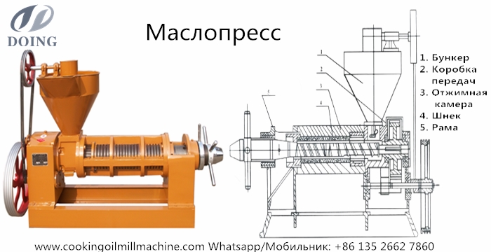 одновинтовой маслопресс