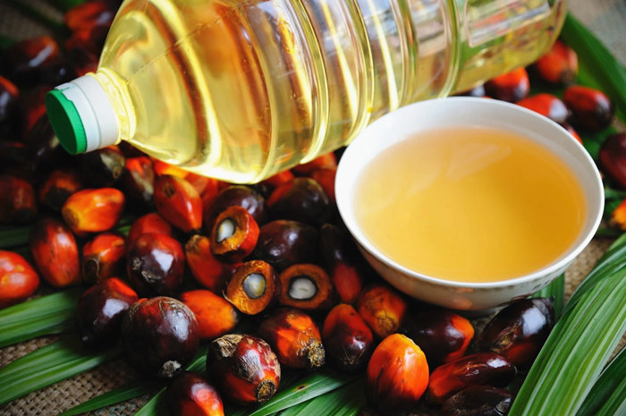 запрет Индонезии на экспорт пальмового масла