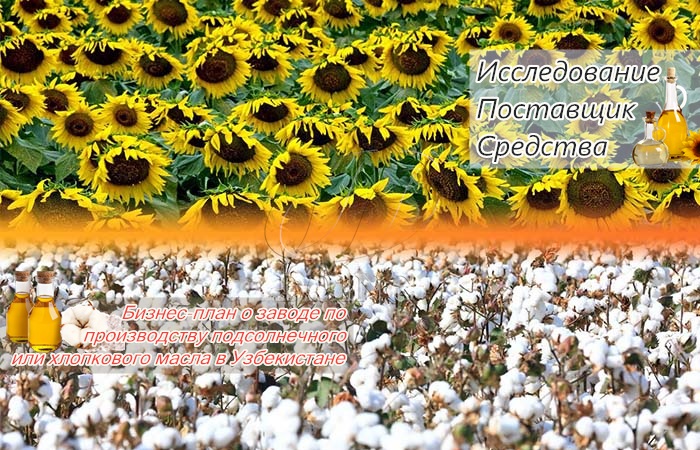 бизнес-план о заводе по производству подсолнечного масла в Узбекистане