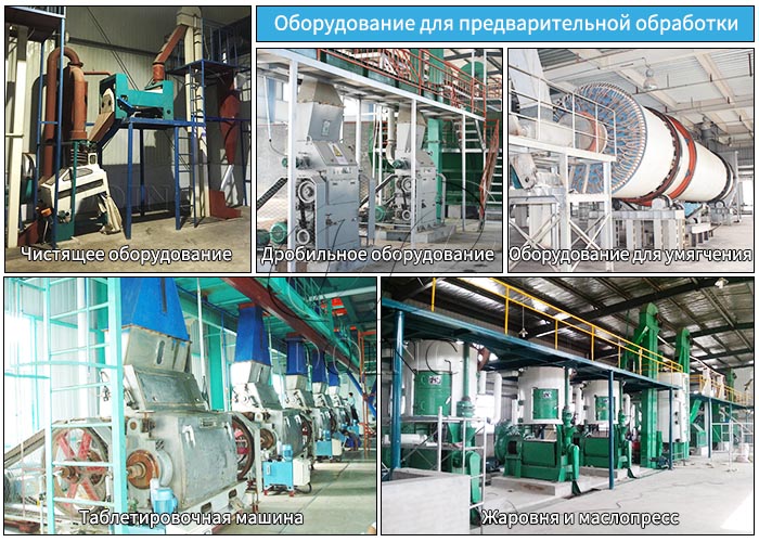 производство подсолнечного масла в Узбекистане
