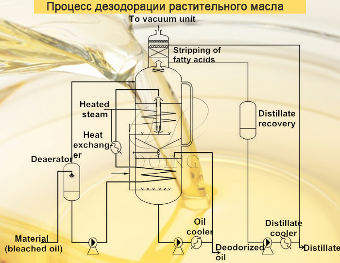 дезодорация растительного масла