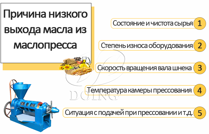 пресс для отжима масла